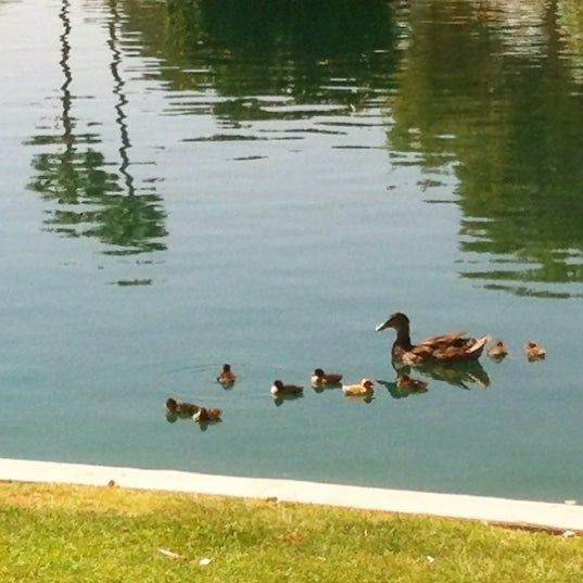Tierra Verde Lake Park Litchfield Park, AZ