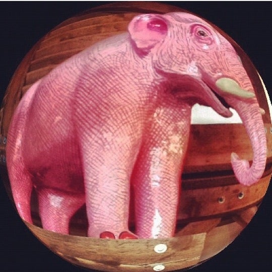 Extraordinary The Pink Elephant Boca Grande Pictures