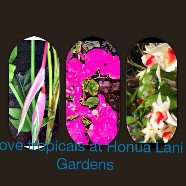 Das Foto wurde bei Honua Lani Gardens Kauai von Jai R. am 9/12/2012 aufgenommen