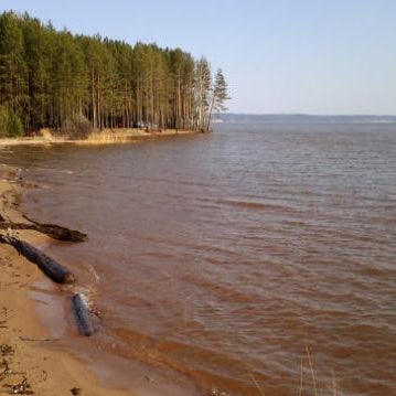 Песчаные берега Камы в Удмуртии