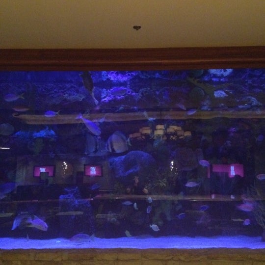 Photo taken at The Mirage Aquarium by Elsa G. on 1/14/2012
