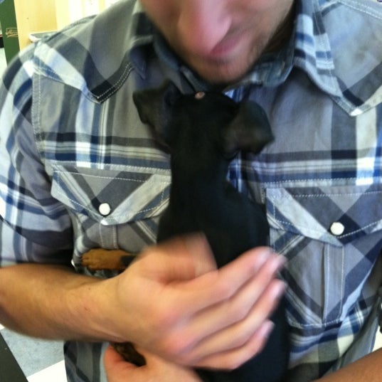 Photos at Perfect Pets (Now Closed) Richmond, VA