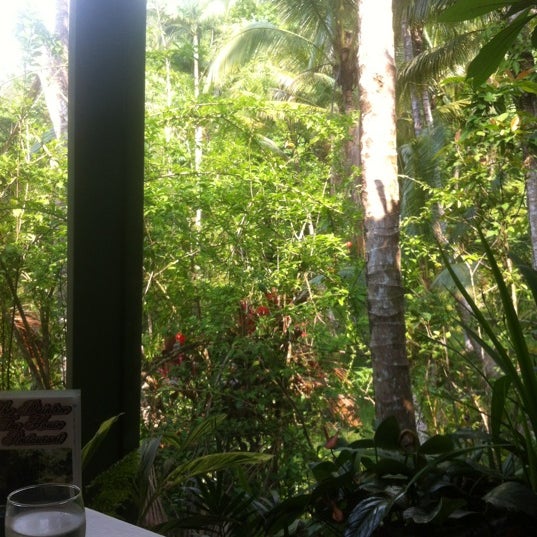 Daintree Tea House & Restaurant 5 tips