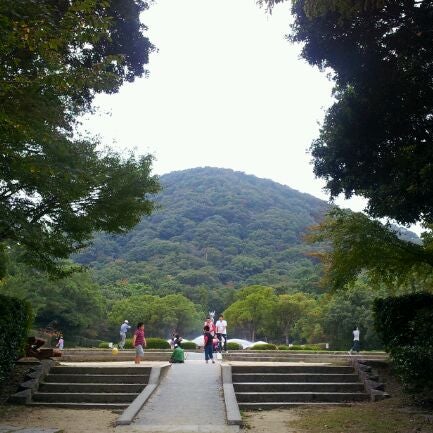 甲山森林公園 5 Tips From 490 Visitors 甲山森林公園 5 Tips From 490 Visitors