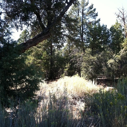 Photo taken at Big Bear Discovery Center by Yvonne W. on 9/18/2011