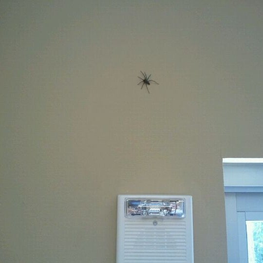 Keller Williams Realty Office in Bothell