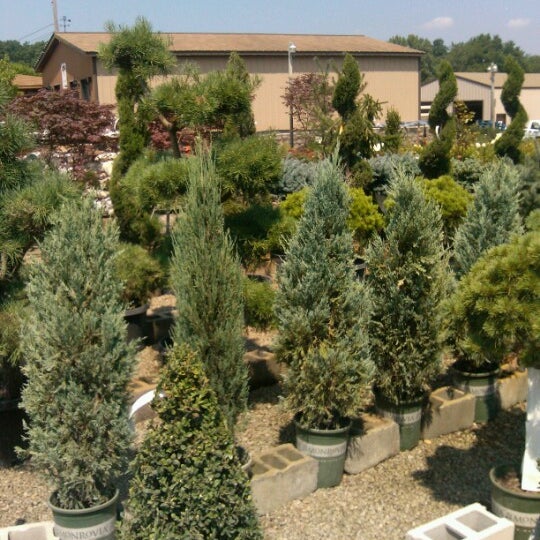 R A L Landscaping 15 Visitors