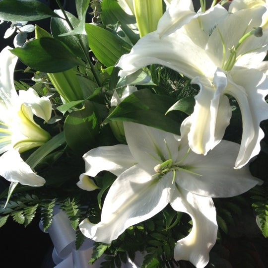 Rouses Flowers New Orleans Best Flower Site