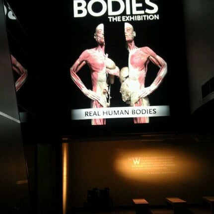 Photo taken at BODIES...The Exhibition by Deborah W. on 1/2/2012