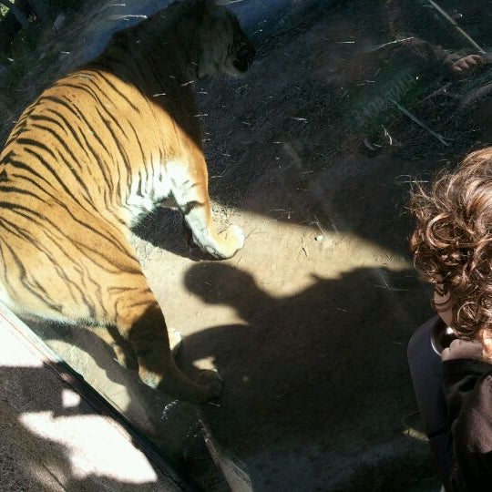 Photo taken at El Paso Zoo by Iris L. on 1/18/2012