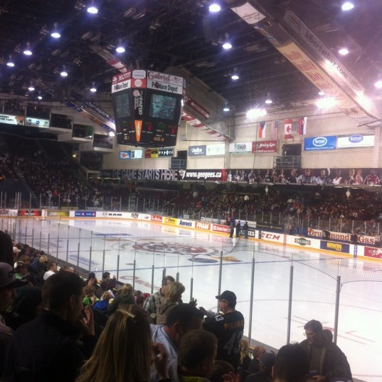 Канада центр. Плавки мужские арена. Катовице стадион сподек. Arena check. Эйр канада-центр (the air canada centre).