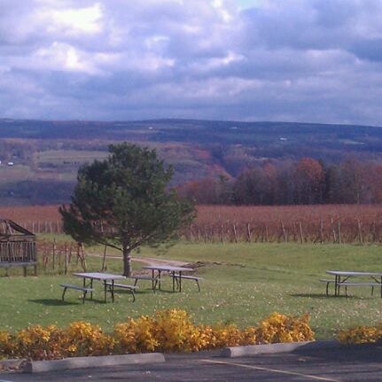 Photo taken at Lakewood Vineyards by Niv N. on 11/11/2011