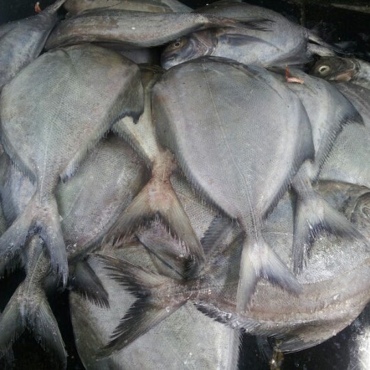 Saidapet Fish Market Fish Market in Chennai