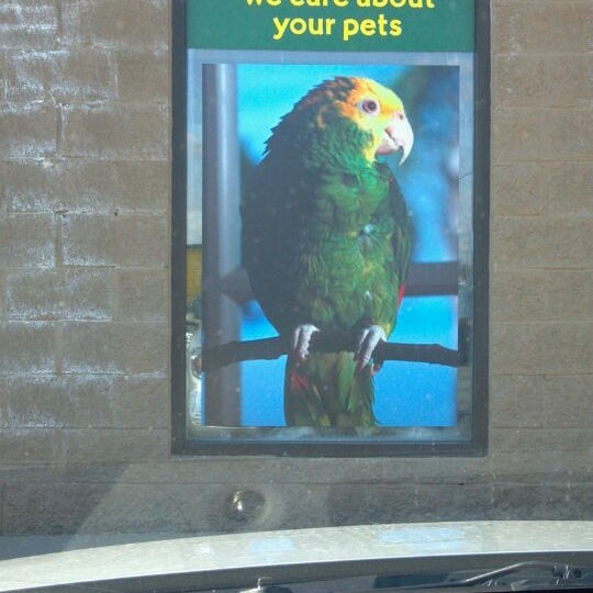 pet supplies plus parakeets