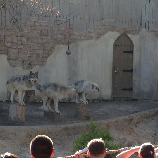 4/2/2012 tarihinde Eric W.ziyaretçi tarafından Wolf Valley - Busch Gardens'de çekilen fotoğraf