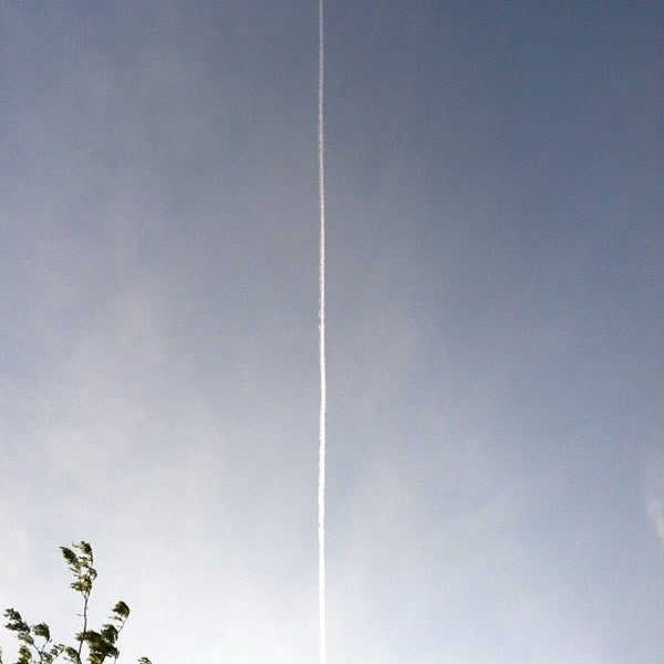 The Arboretum At Gustavus Saint Peter, MN