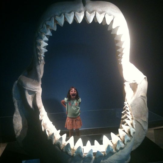 9/3/2012にMike T.がMuseum of Nature &amp; Scienceで撮った写真