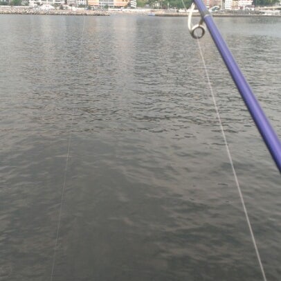 Photos At 熱海港海釣り施設 和田浜南町1694 32