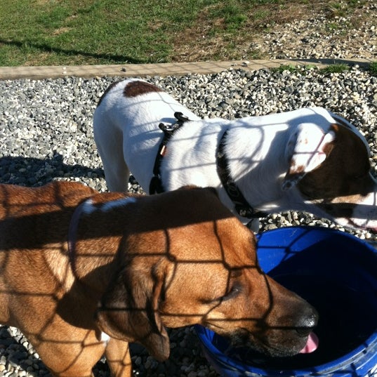 Barnegat Light Dog Park 1 tip from 36 visitors