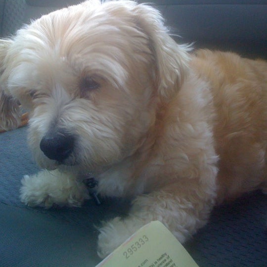 Photos at Global Pet Food Outlet Torrance, CA