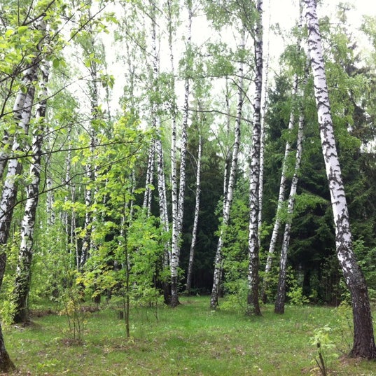 Сады 50 лет октября. 370 садик волгоград красноармейский район. Пр 50 лет октября 22 саранск. Гбоу школа 1347 отделение 9 москва. Беседка в парке 50 летия октября.