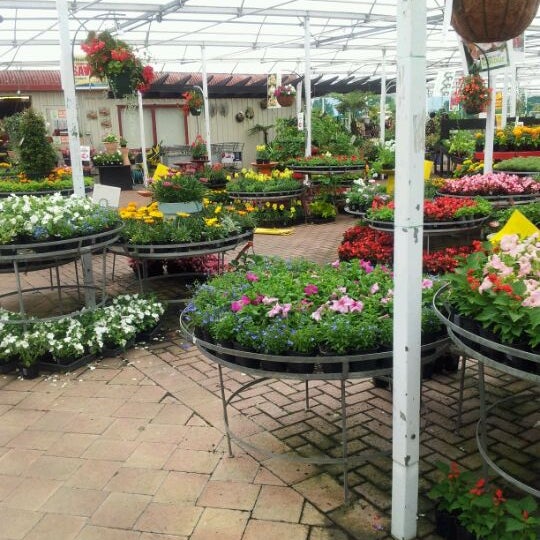 Photos At Kings Plant Barn Botany
