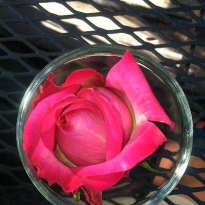 Foto tirada no(a) Pink Rose por Jeri B. em 8/3/2012