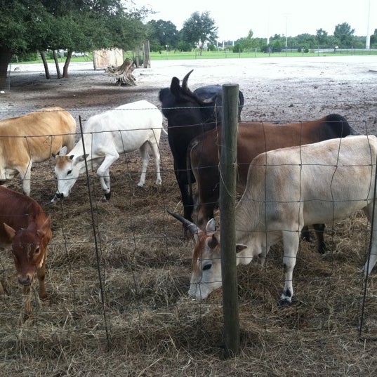 Red Wing Restaurant - 6 tips from 244 visitors