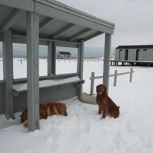 Bakers Beach Club Beach in Westport