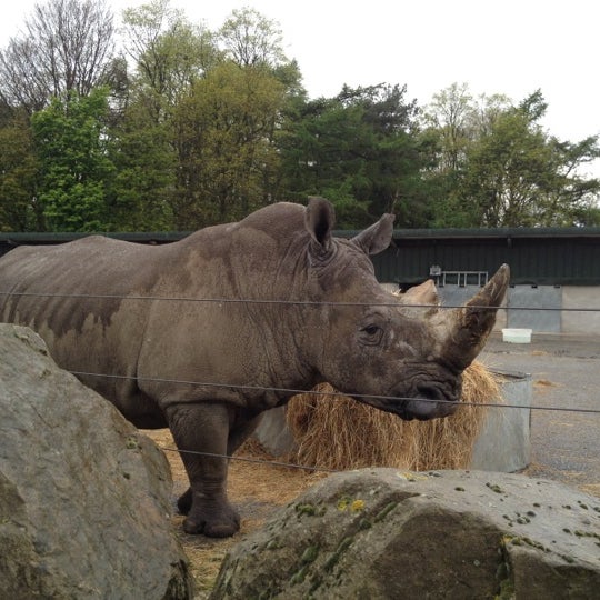 Photo taken at Knowsley Safari by Khalid on 5/9/2012