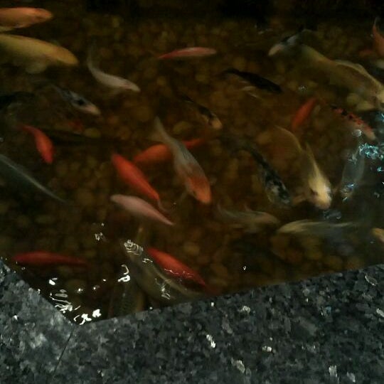 Asian Garden Buffet Chinese Restaurant In Campbellsville