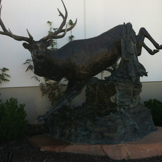 Photos at Sportsman's Warehouse Rocklin, CA