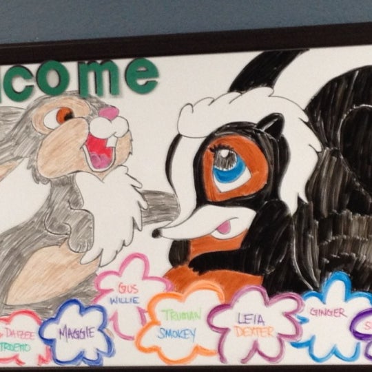 bedford meadows animal hospital