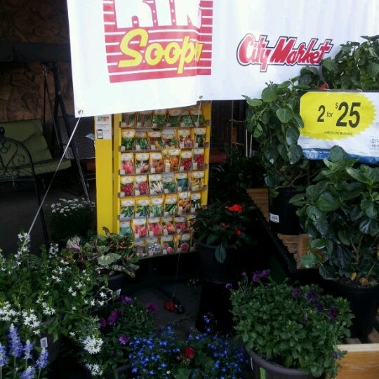 King Soopers Flowers Fort Collins Best Flower Site