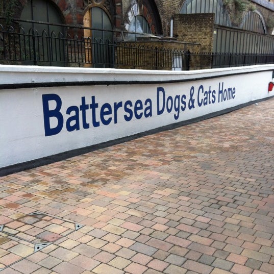 4/12/2012에 Steven G.님이 Battersea Dogs &amp; Cats Home에서 찍은 사진