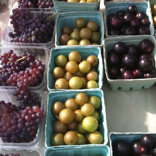 8/5/2012 tarihinde Nicole G.ziyaretçi tarafından West End Farmers Market'de çekilen fotoğraf