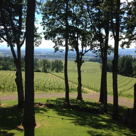 6/16/2012にLaura A.がVista Hills Vineyard &amp; Wineryで撮った写真