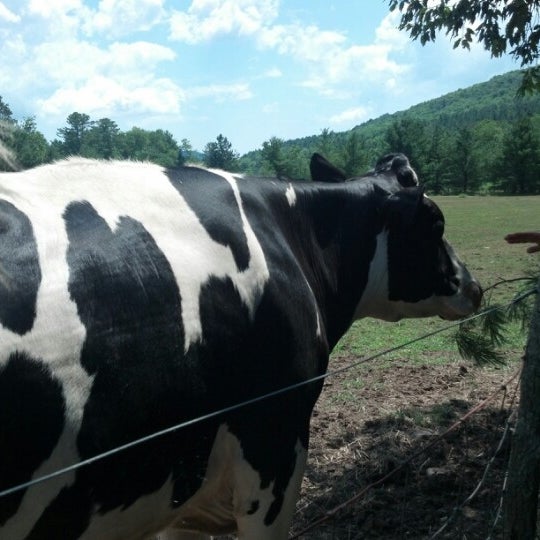 Photo taken at Woodstock Farm Animal Sanctuary by Miranda l. on 7/8/2012