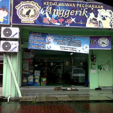 Kedai Haiwan Peliharaan Anggerik 14 Visiteurs