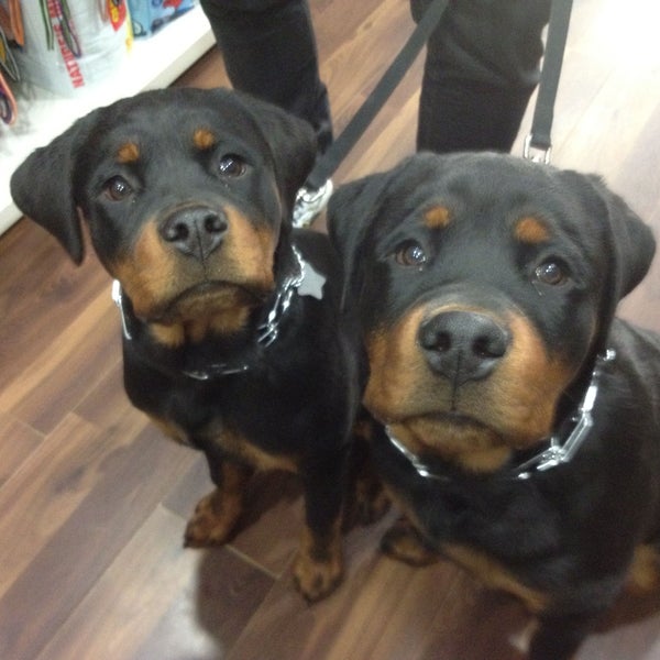 Towne House Grooming & Pet Supplies Chelsea 288 8th Ave