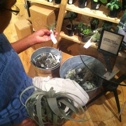 Photos at West Elm Mission Valley East San Diego, CA