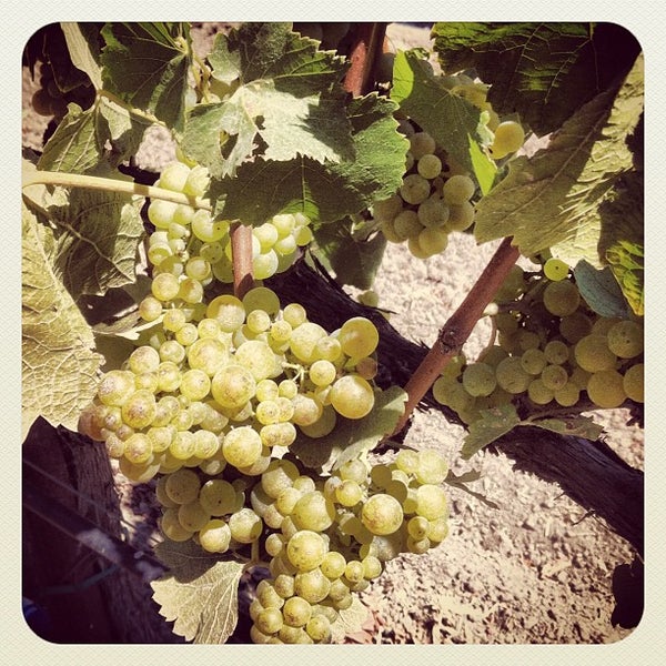 Photo taken at Balletto Vineyards &amp; Winery by Rachel E. on 8/25/2012