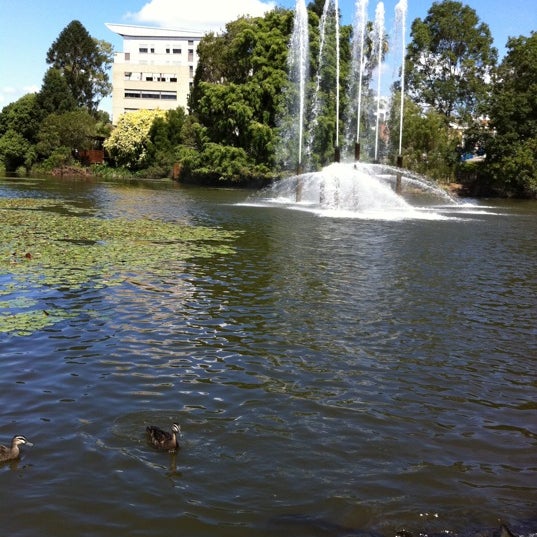 UQ Great Lake - 5 tips from 422 visitors