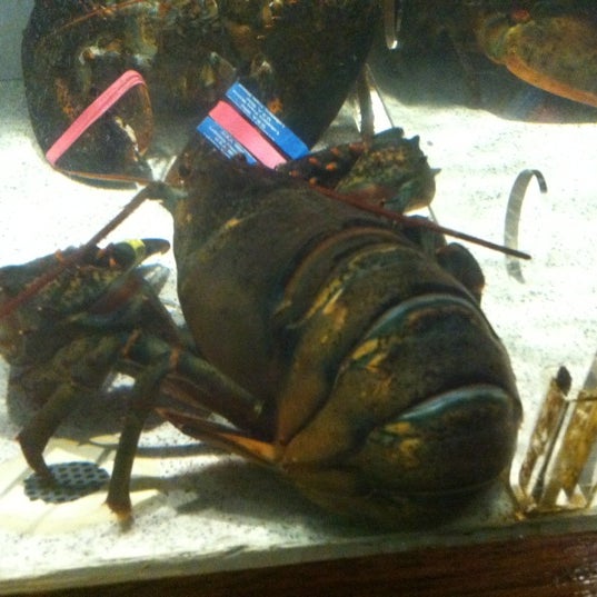 รูปภาพถ่ายที่ Red Lobster โดย Jorge A. V. เมื่อ 9/1/2012