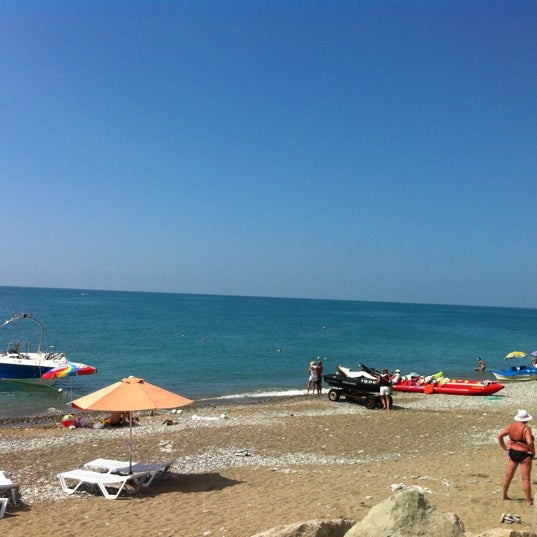 пляж дельфин Beach