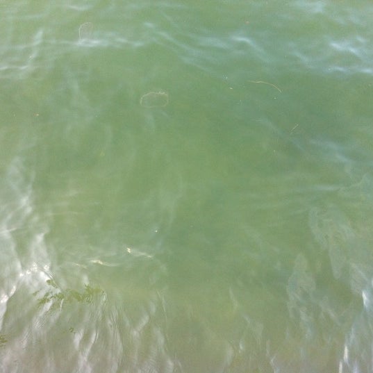 8/27/2011にLisa B.がTrio On The Bayで撮った写真