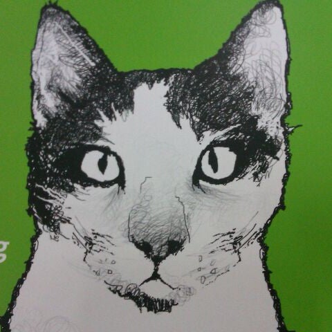 Emo Book Services Hq Bandar Sunway Selangor