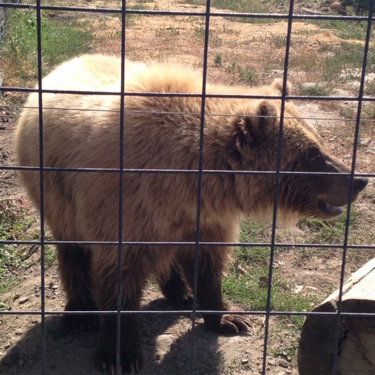 Kamloops Wildlife Park Kamloops, BC