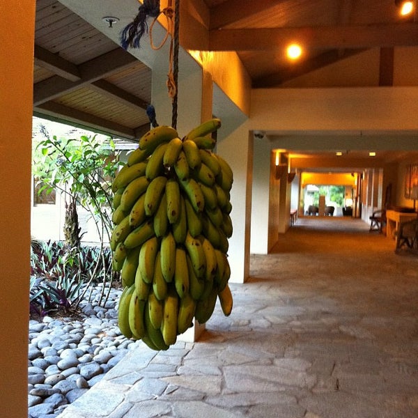 1/30/2012 tarihinde Melissa C.ziyaretçi tarafından Travaasa Hotel Hana'de çekilen fotoğraf