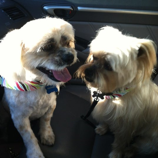 Snoopy's Dog House Pet Service in Watauga